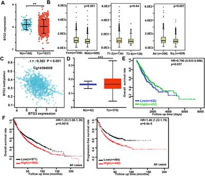 The clinicopathological significances and related signal pathways of BTG3 mRNA expression in cancers: A bioinformatics analysis